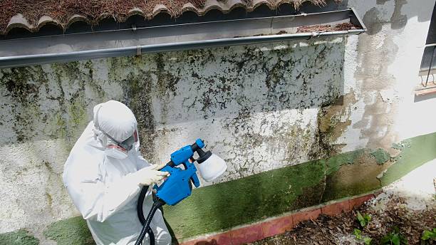 Trusted Commercial Mold Remediation service in Moorestown, NJ - Cheap Mold Removal